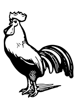 GALLO